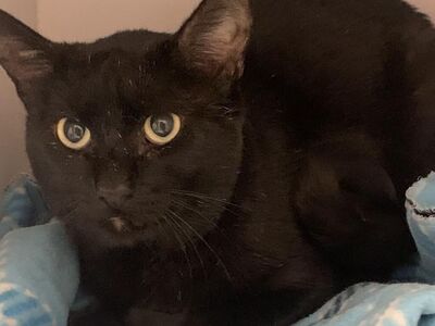 Hello my name is Lloyd