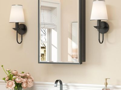 16" x 24" Medicine Cabinet with Mirror, Black, Assembled