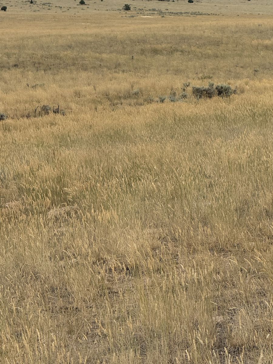 Main image 7