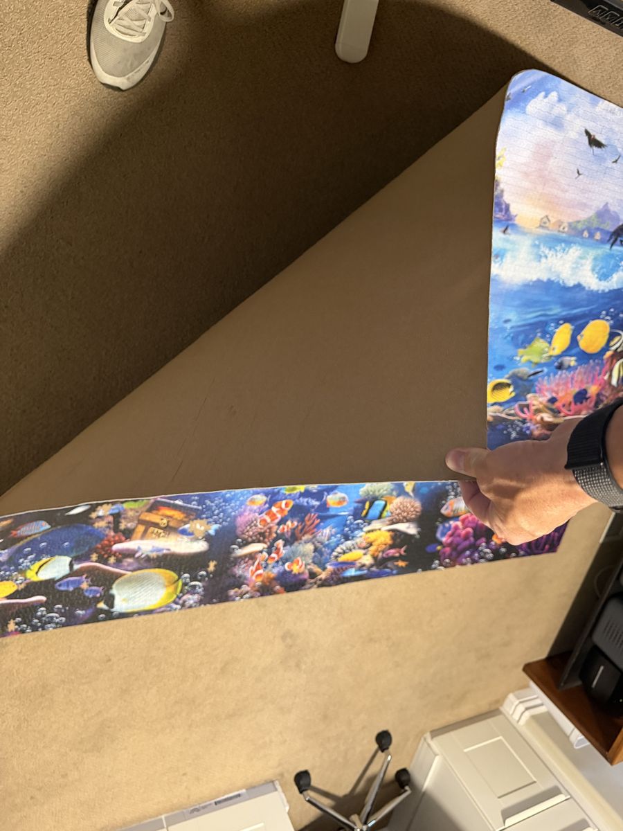 Ocean Life Jigsaw Puzzle 13,500 Pieces Vibrant Underwater Scene Complete and Papered