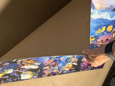 Ocean Life Jigsaw Puzzle 13,500 Pieces Vibrant Underwater Scene Complete and Papered