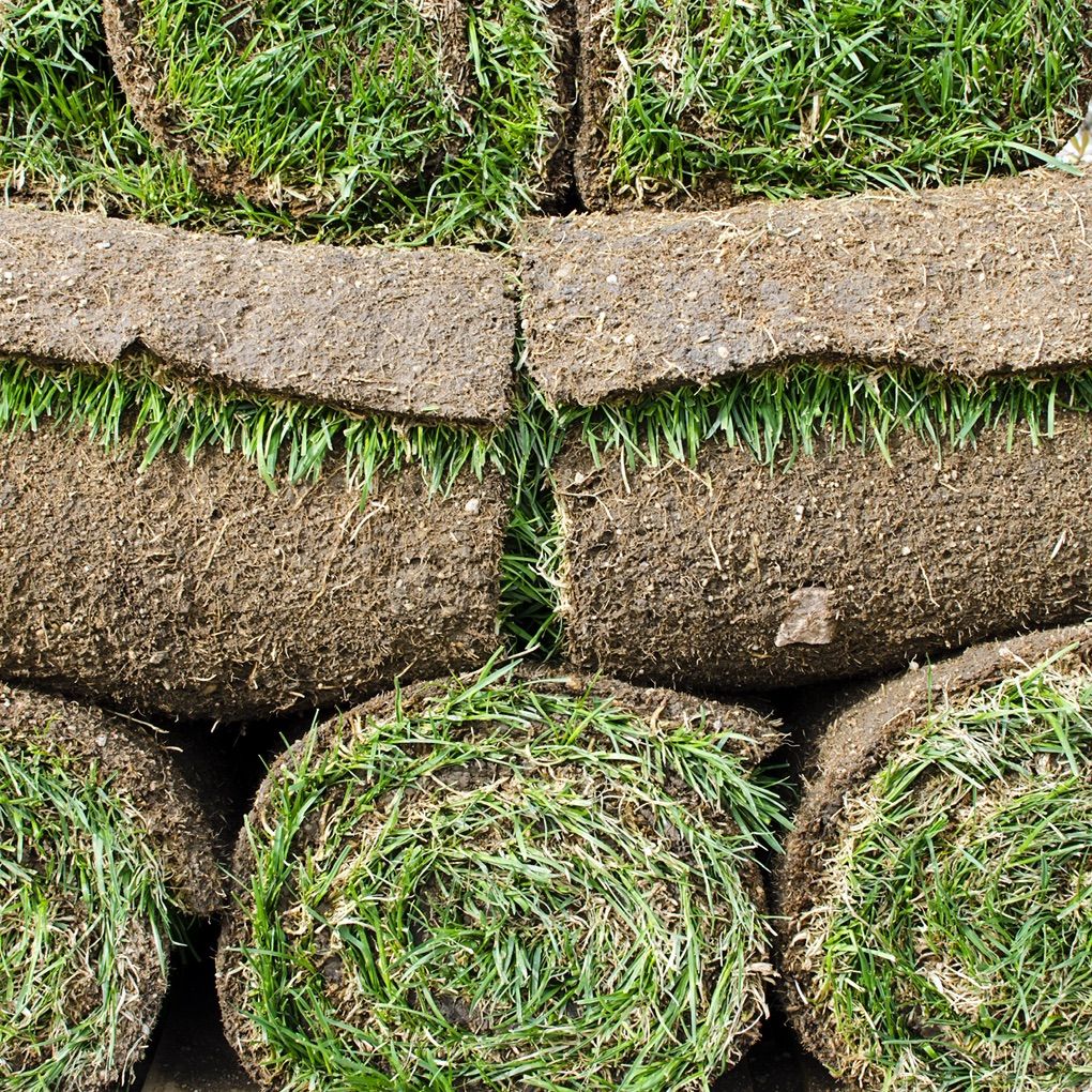 Sod Delivery Farm Fresh