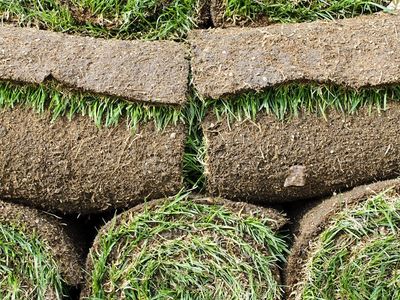 Sod Delivery Farm Fresh