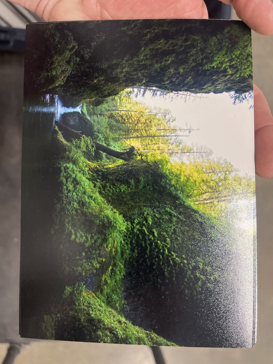Punchbowl Falls, Eagle Creek, Oregon Stunning Nature Waterfall & Green Mossy Landscape Postcard - Vibrant Colors