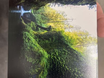 Punchbowl Falls, Eagle Creek, Oregon Stunning Nature Waterfall & Green Mossy Landscape Postcard - Vibrant Colors