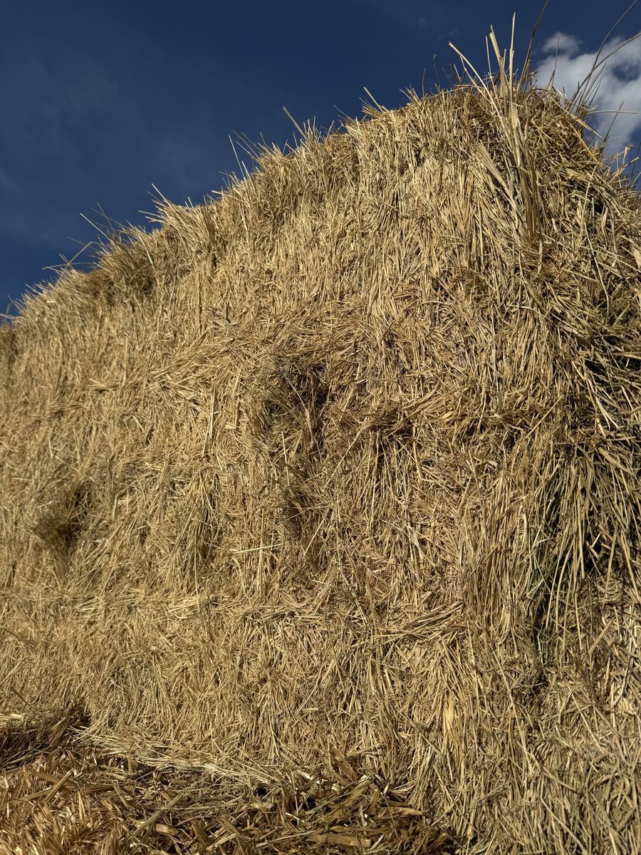 3x4x8 Grass Hay
