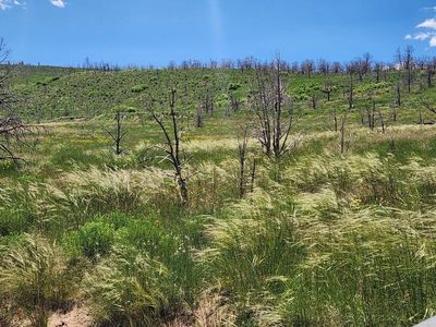 10 Acre Lots Duchesne County