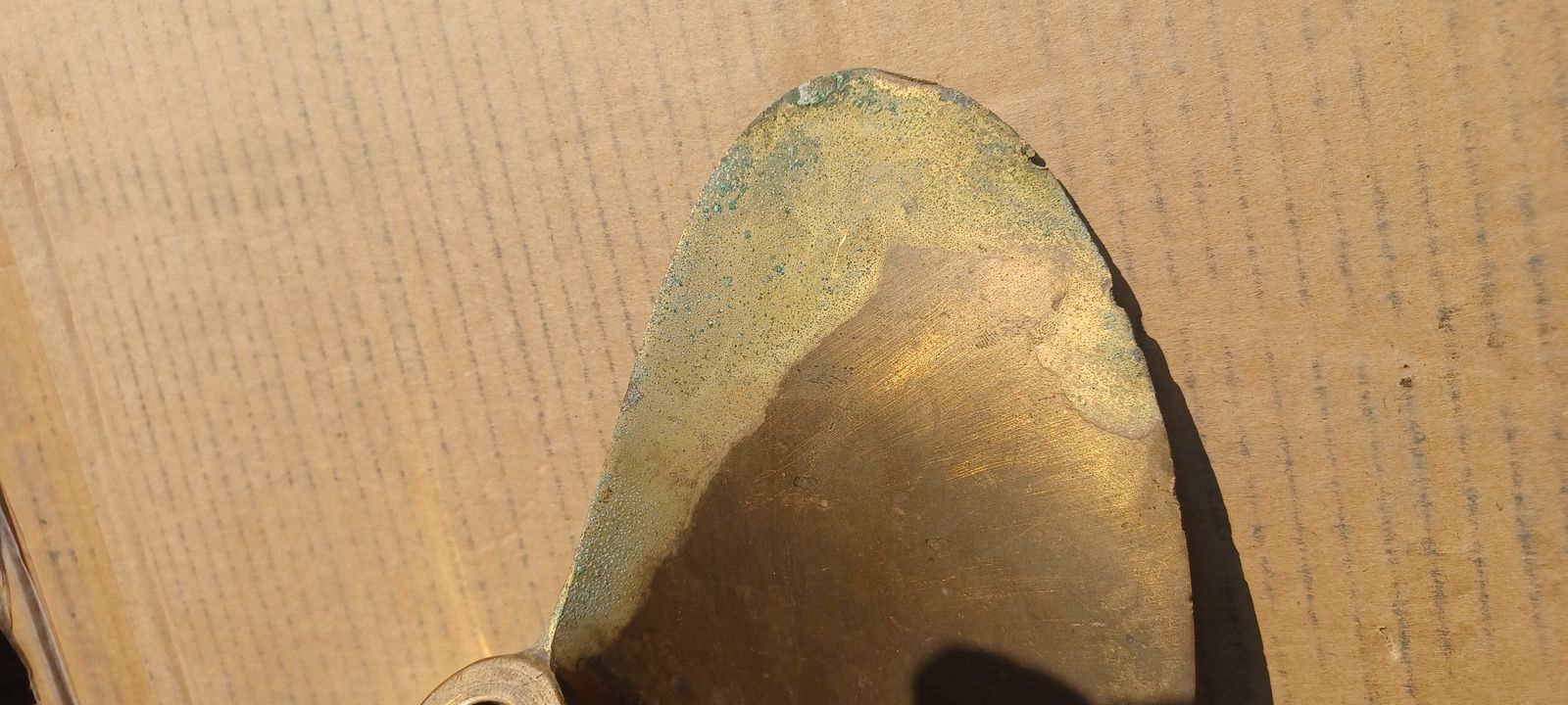 Main image 4