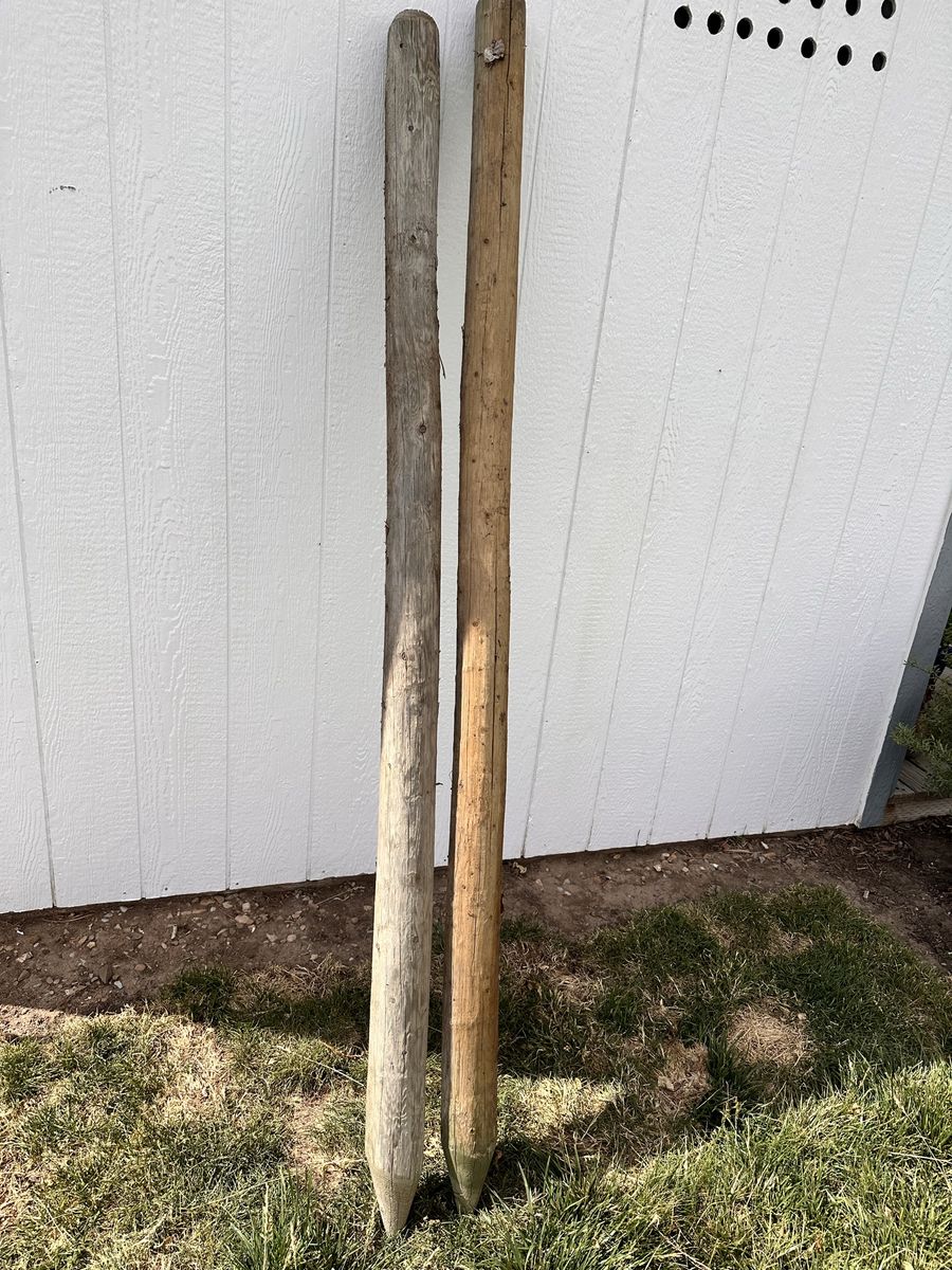 8 ft 4 inch pressure treated fence posts. About 5o