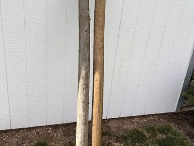 8 ft 4 inch pressure treated fence posts. About 5o