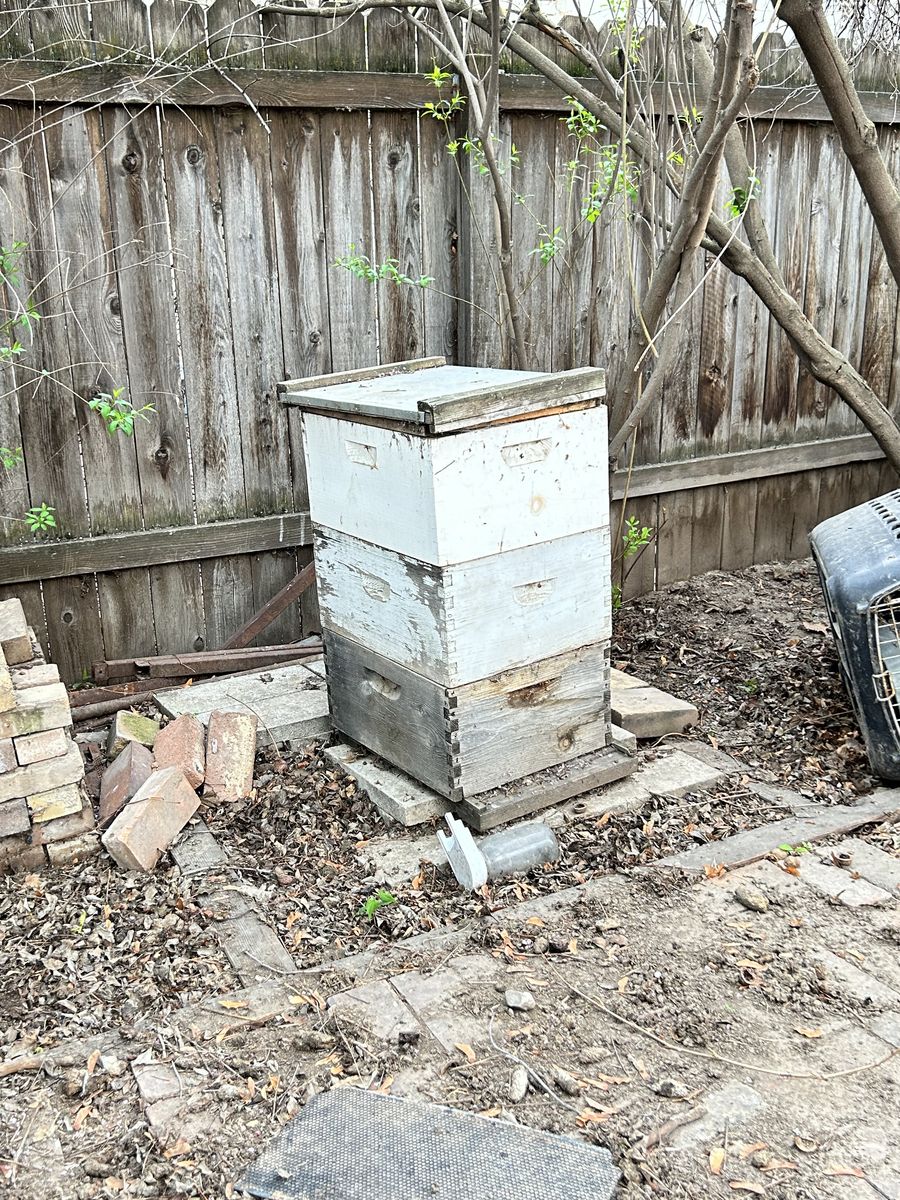 Bee hives