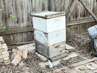 Bee hives