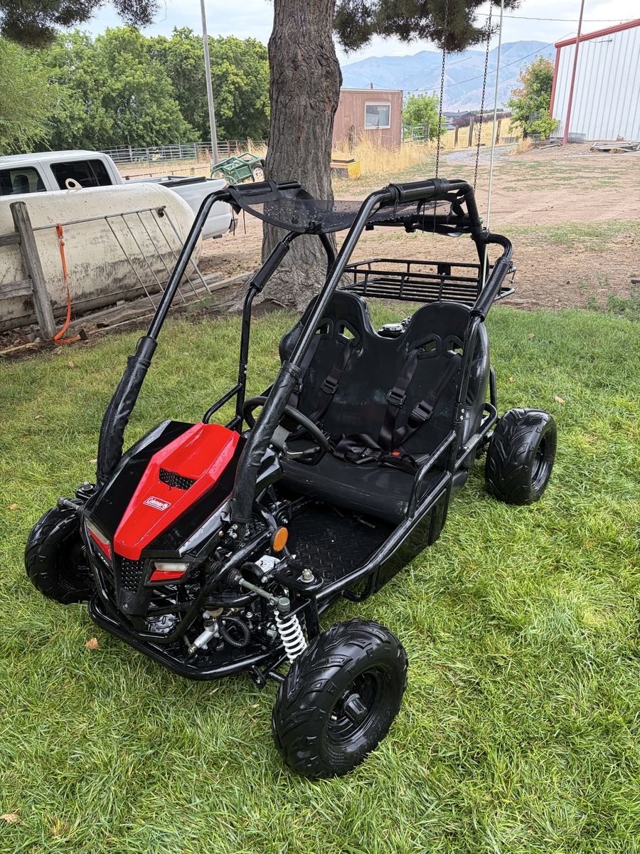 Coleman Powersports  GoKart 