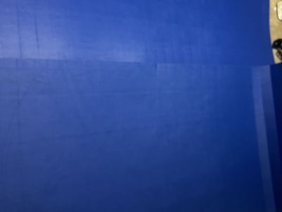 10x10 wrestling mat 350 obo
