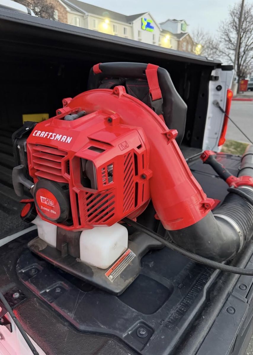 Craftsman BP510 2 Stroke