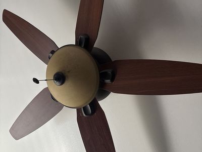 Matching light sets 2 ceiling fans and 2 regular