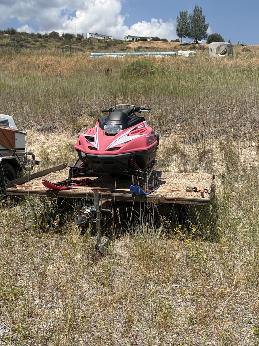Trailer & Snowmobile