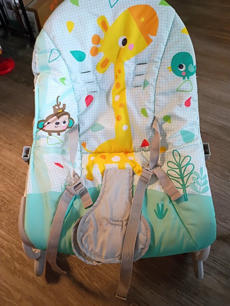 Bright Starts Safari Fun Bouncer - Infant Bouncing Seat with Vibrations