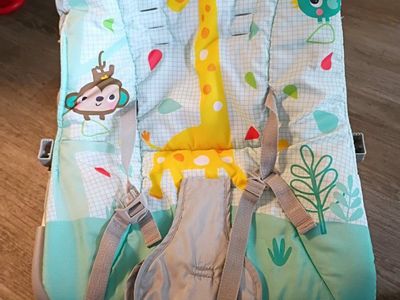 Bright Starts Safari Fun Bouncer - Infant Bouncing Seat with Vibrations