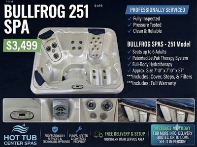 Bullfrog hot tub