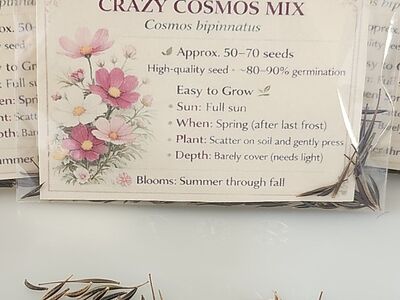 Crazy Cosmos Seeds – $5 per Pack