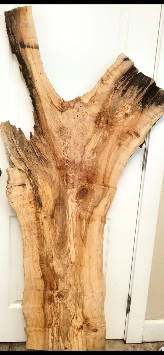 Maple crotch wood slab natural/raw/ live edge