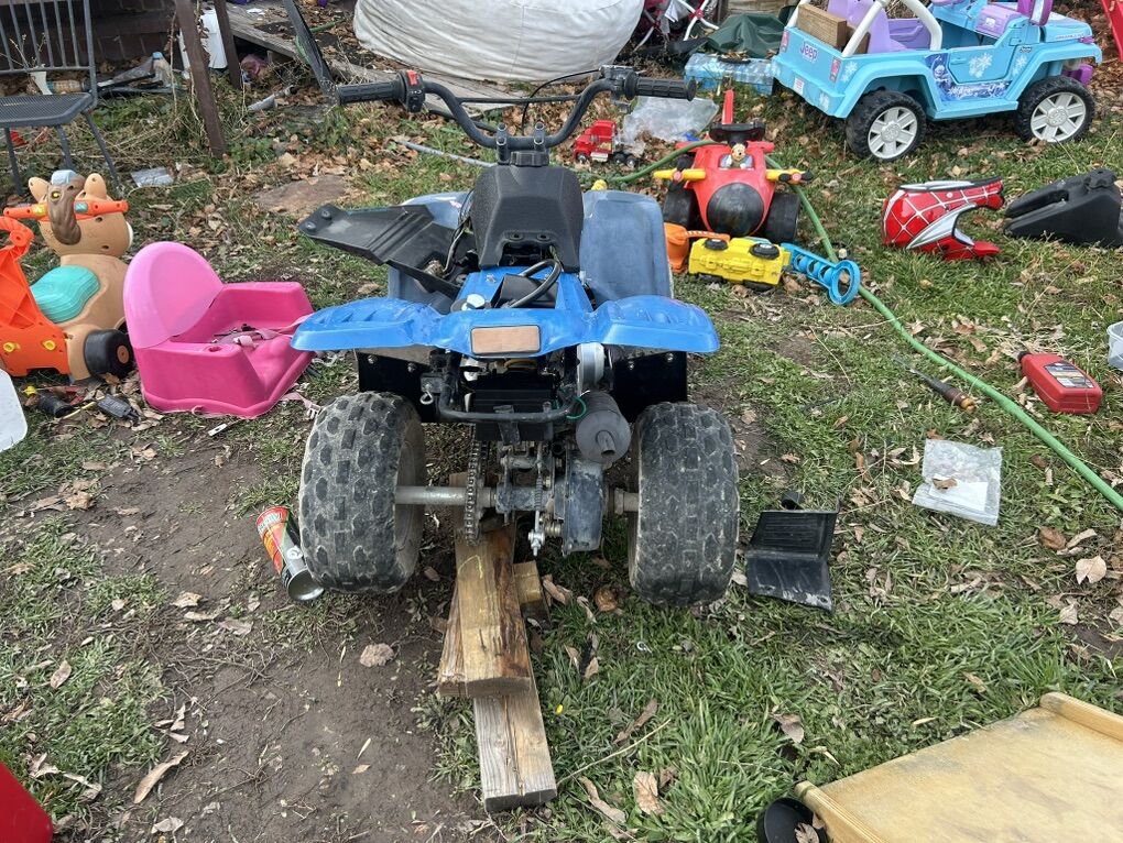 Chinese Meerkat 70cc