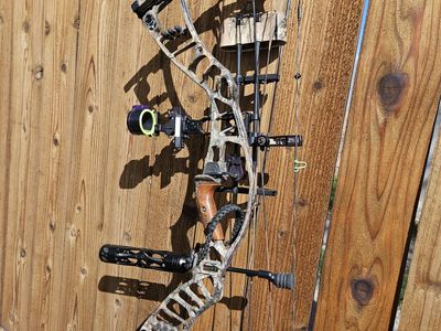 hoyt nitrum turbo 33"