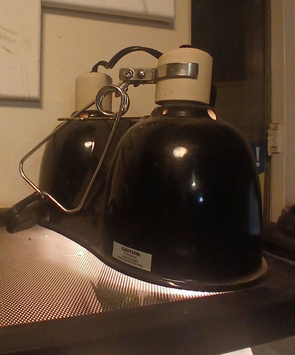 Main image 5