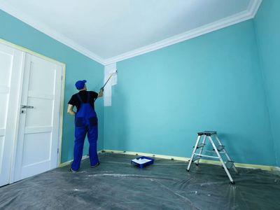 I can help you with your painting jobs.