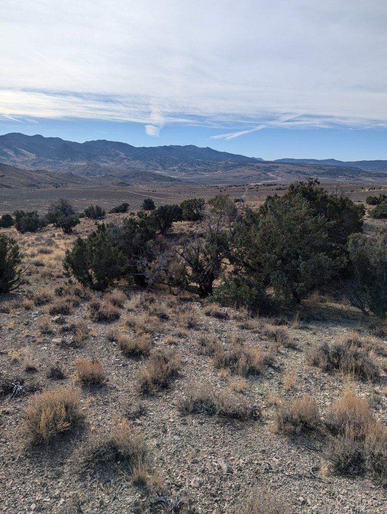 Main image 14