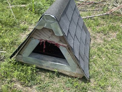 Insulated Outdoor Doghouse