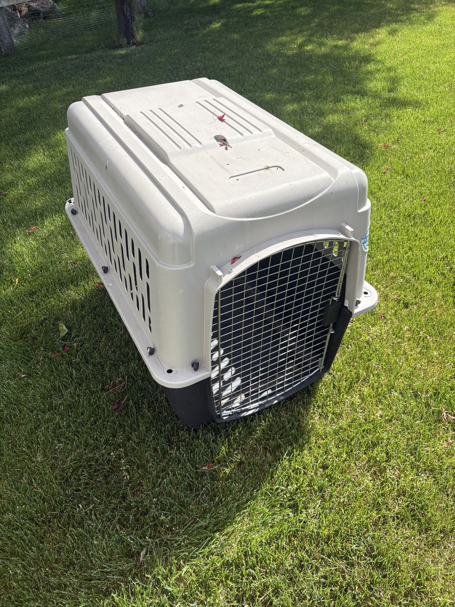 Large dog crate