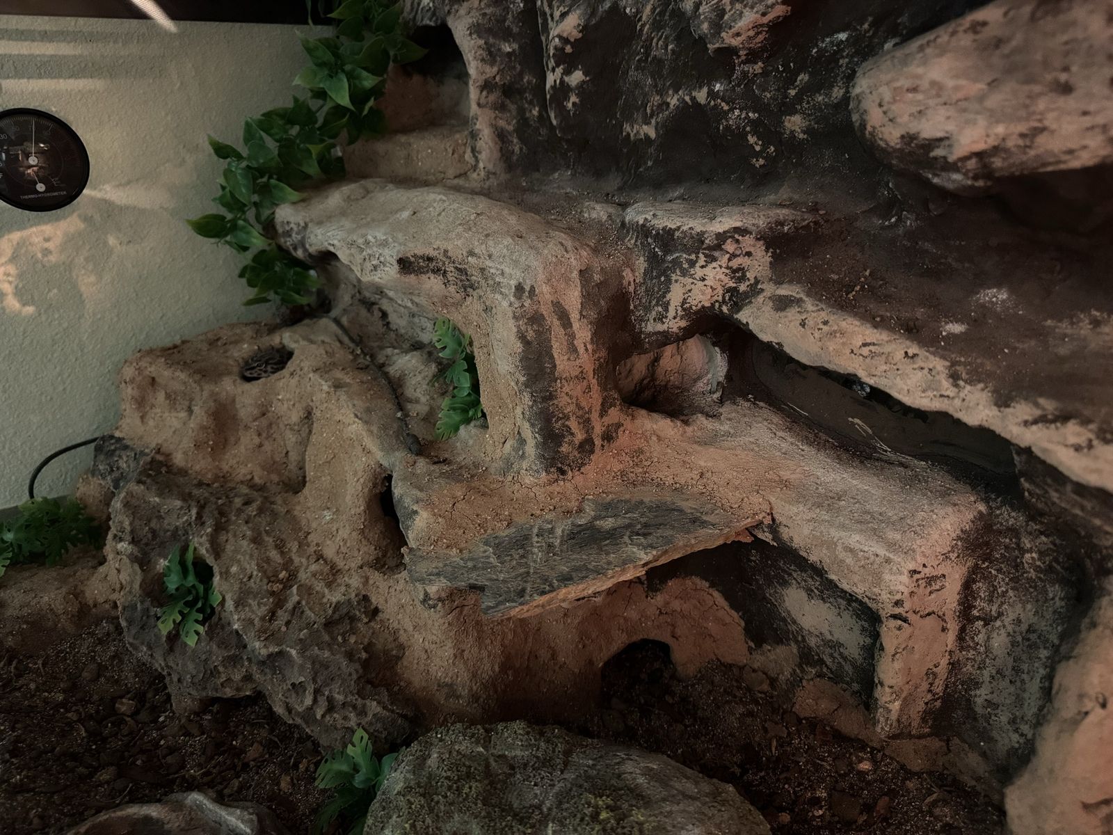 Main image 7
