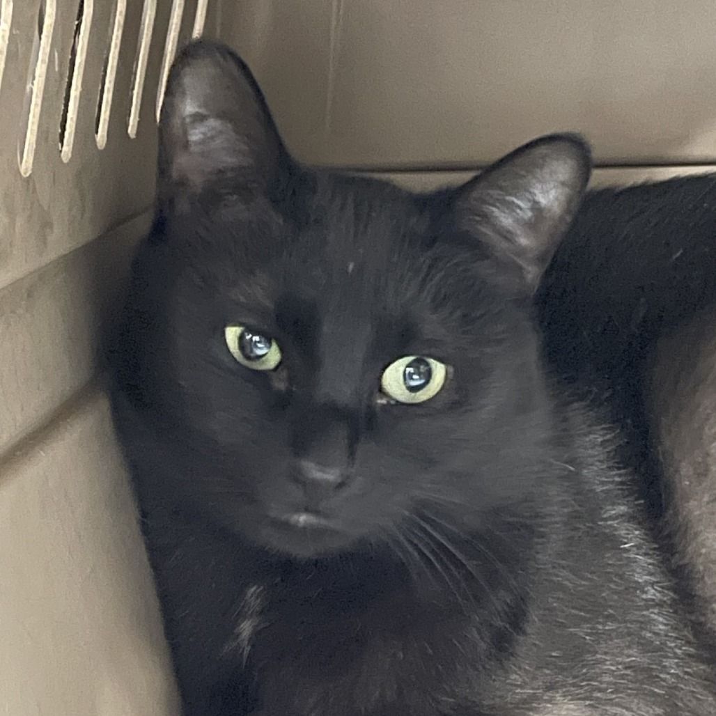 Hello my name is "Tyson"