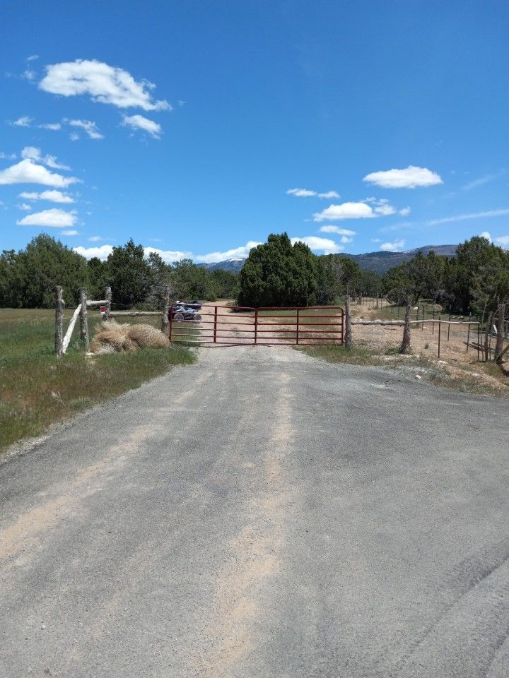 Main image 15