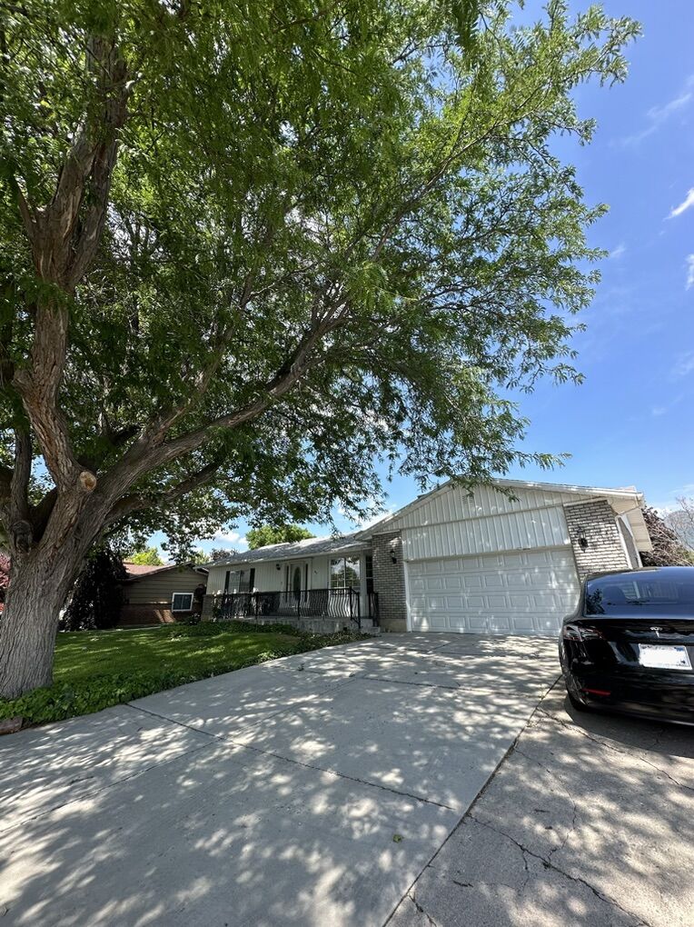 2 Bed 1 Bath Basement Apt