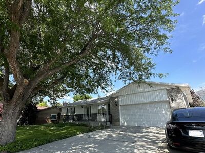 2 Bed 1 Bath Basement Apt