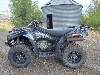 2021 Kawasaki Brute Force 750i w/EPS