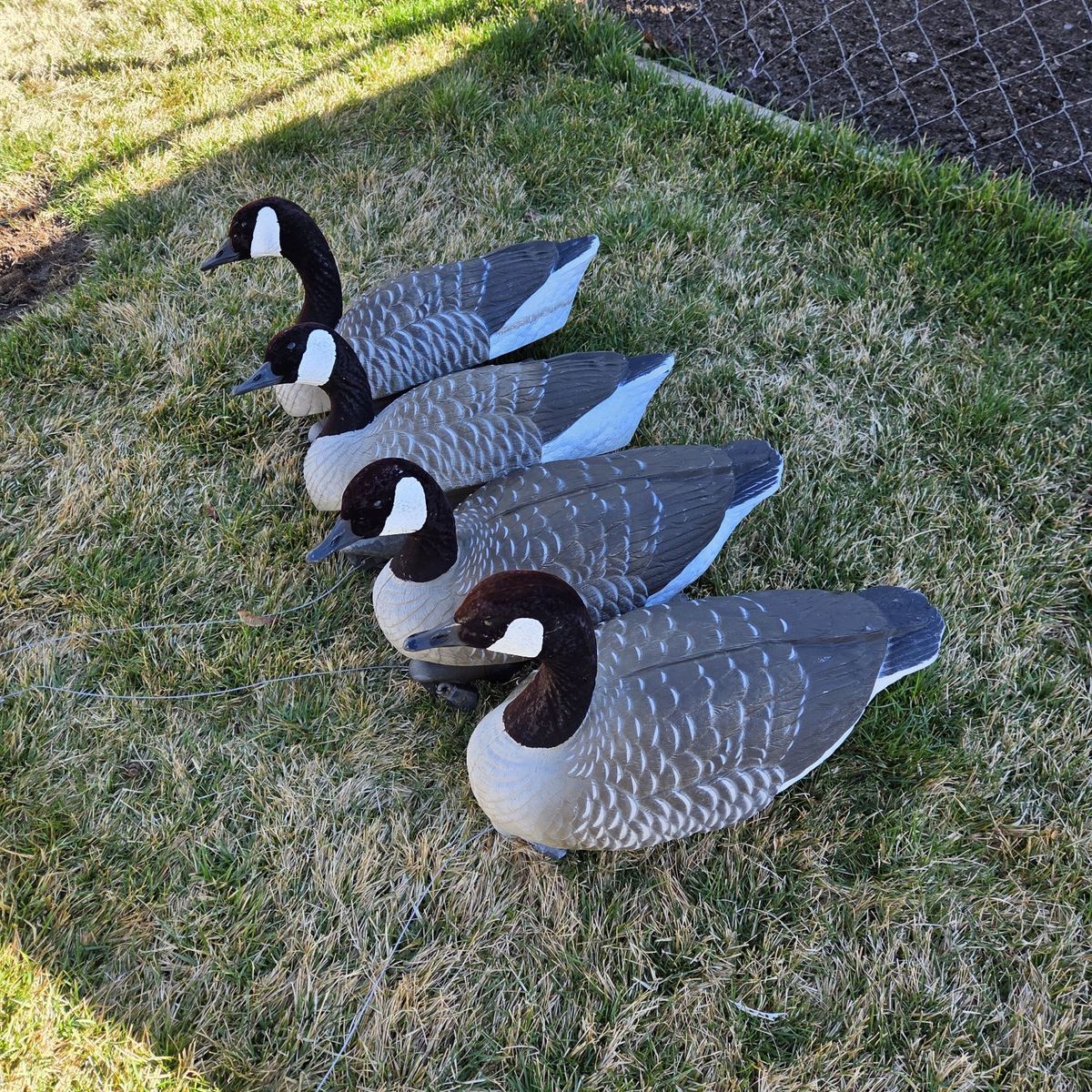 goose floaters