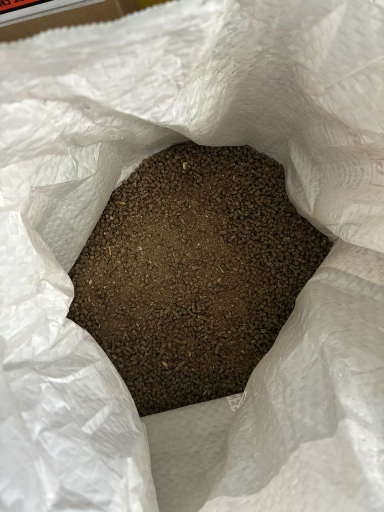 Main image 2