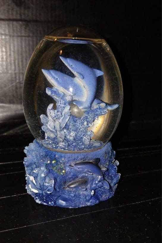 A Dolphin water globe