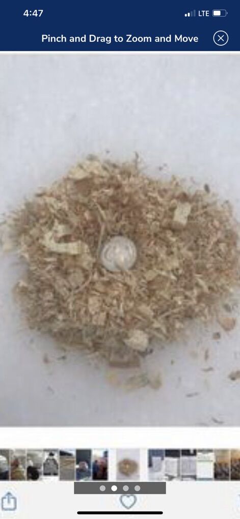 BAGGED SOFTWOOD SHAVINGS