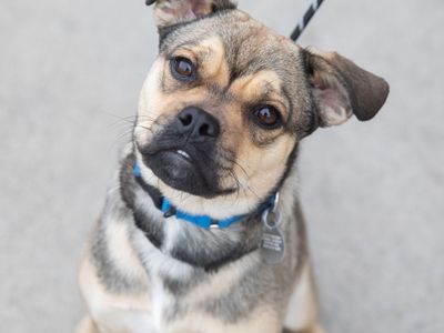 Hello my name is Izzy