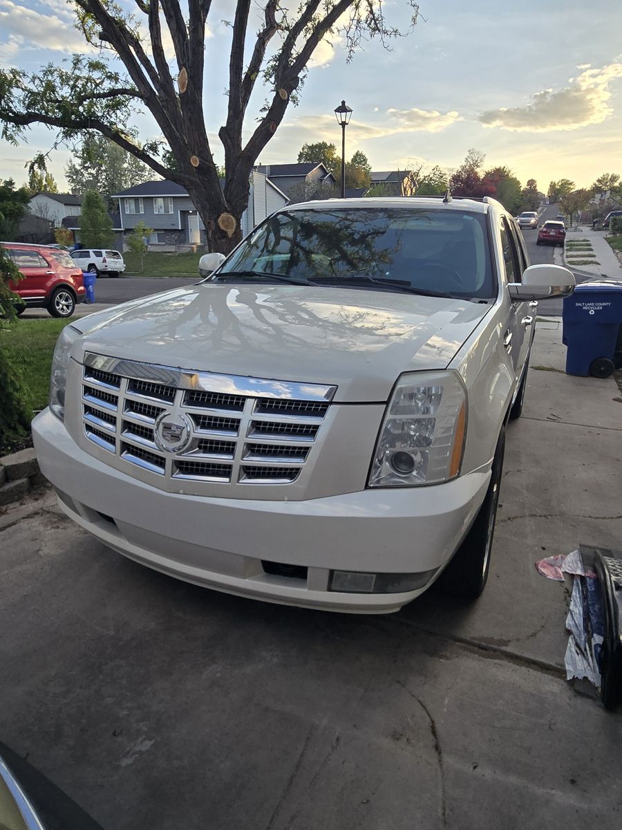2010 Cadillac Escalade Platinum