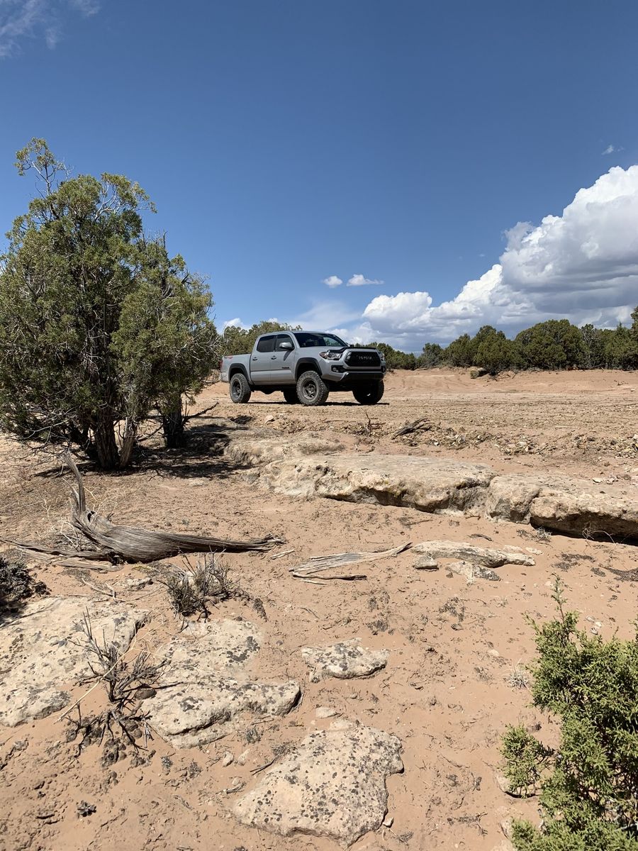 5.5 acre Starvation Lot 