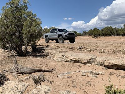 5.5 acre Starvation Lot