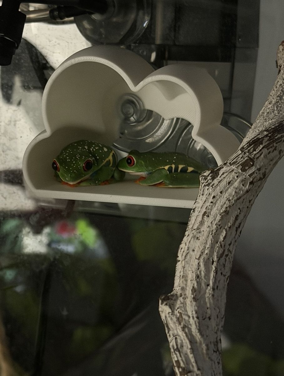 Main image 2