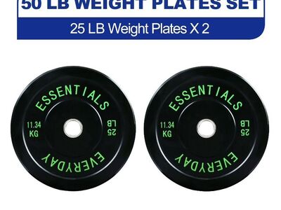 25 LB Bumper Weights (Pair)