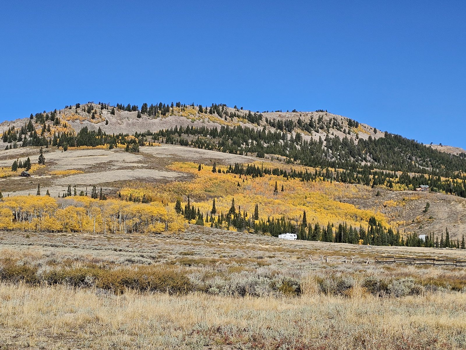 Main image 6